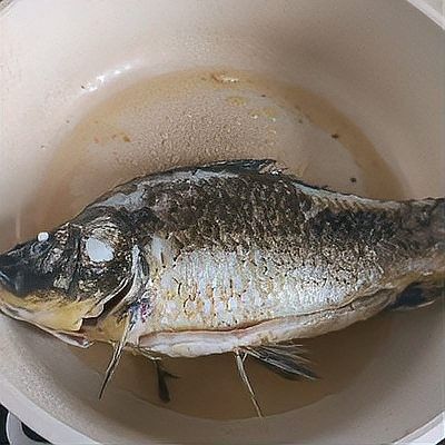 金龍魚燉豆腐的做法（福建海邊特色龍魚酸菜豆腐湯鮮嫩如豆腐營養滿滿蛾刃未歇）