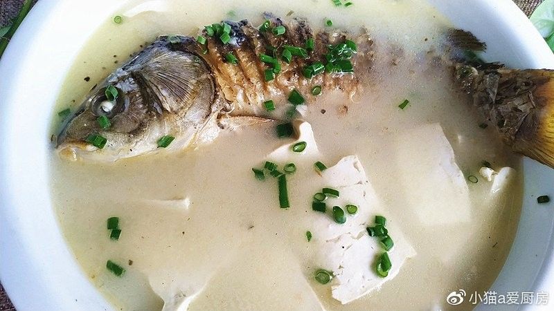金龍魚燉豆腐的做法（福建海邊特色龍魚酸菜豆腐湯鮮嫩如豆腐營養滿滿蛾刃未歇）