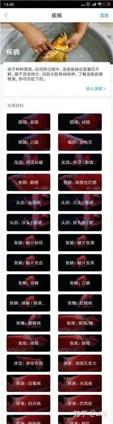 龍魚死亡后多久會走出陰影？（搜狐：龍魚死亡后多久能夠走出陰影的問題~）