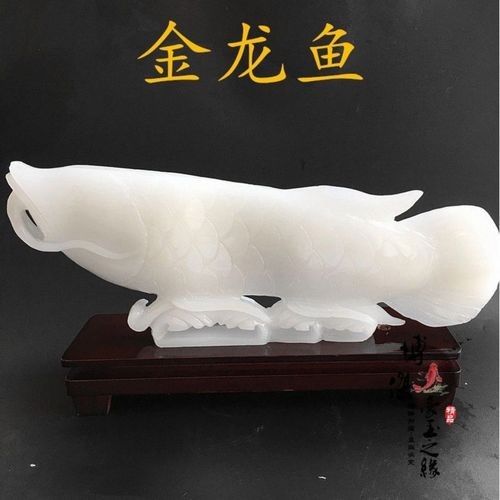 白玉金龍魚(yú)有哪些款式（養(yǎng)魚(yú)大全，如何區(qū)分白玉金龍魚(yú)這篇文章看懂你就明白了）