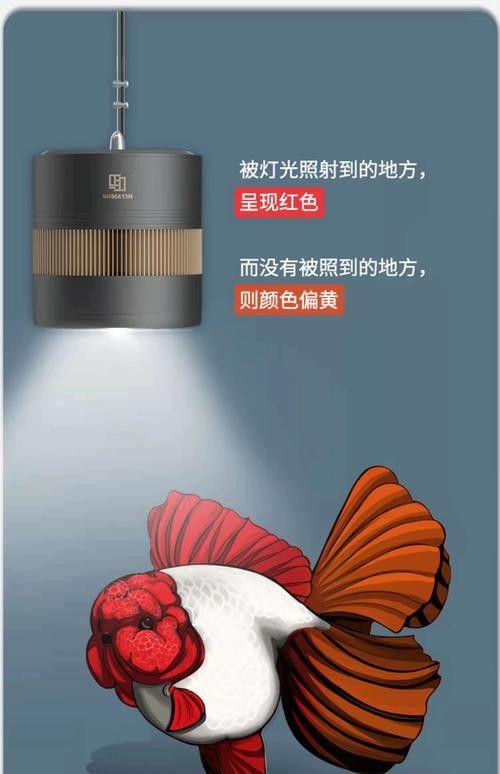 發(fā)色燈和烤色燈有什么區(qū)別？（美甲燈品牌評測推薦周雄安兄弟色燈和烤色燈的類型有哪些）