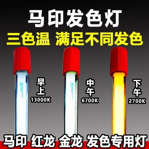 發(fā)色燈和烤色燈有什么區(qū)別？（美甲燈品牌評測推薦周雄安兄弟色燈和烤色燈的類型有哪些）
