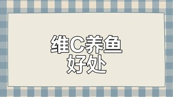 哪些水果對過背金龍魚有益