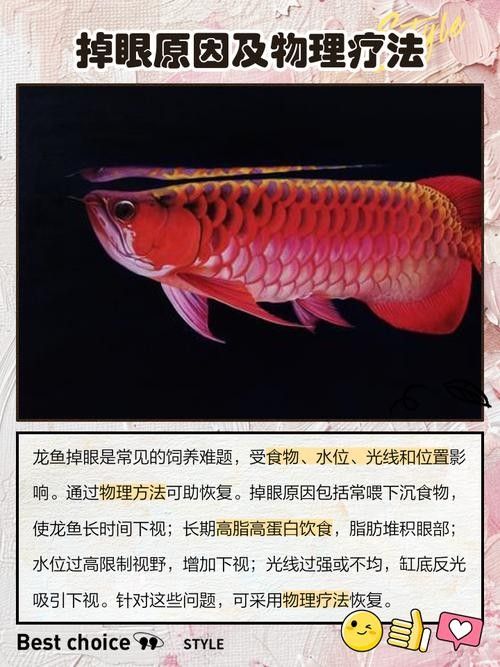 給我一些龍魚掉眼的恢復案例圖片（龍魚掉眼恢復案例）