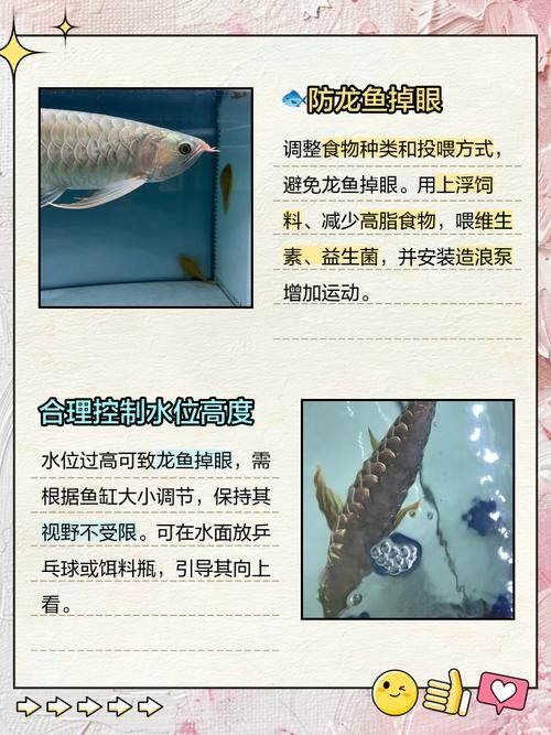 給我一些龍魚掉眼的恢復案例圖片（龍魚掉眼恢復案例）