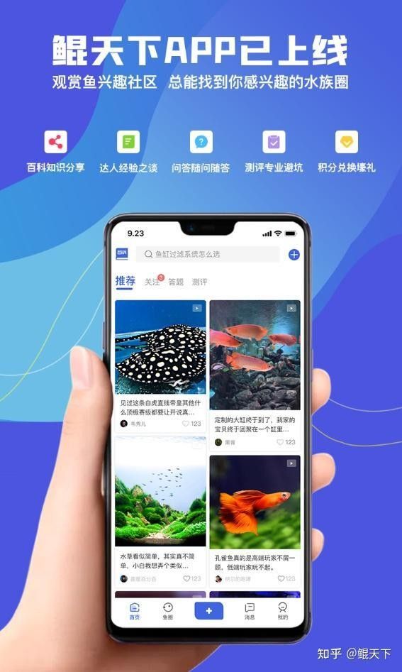 龍魚白點病多久能治好（治療龍魚白點病需要多久）