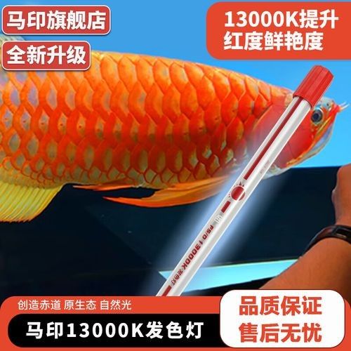 馬印發(fā)色燈13000K有哪些型號(hào)