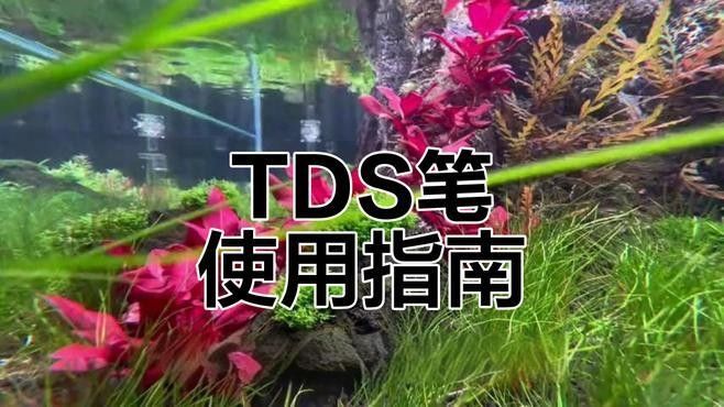 如何調(diào)整龍魚缸的水質(zhì)（如何調(diào)整龍魚缸水質(zhì)）