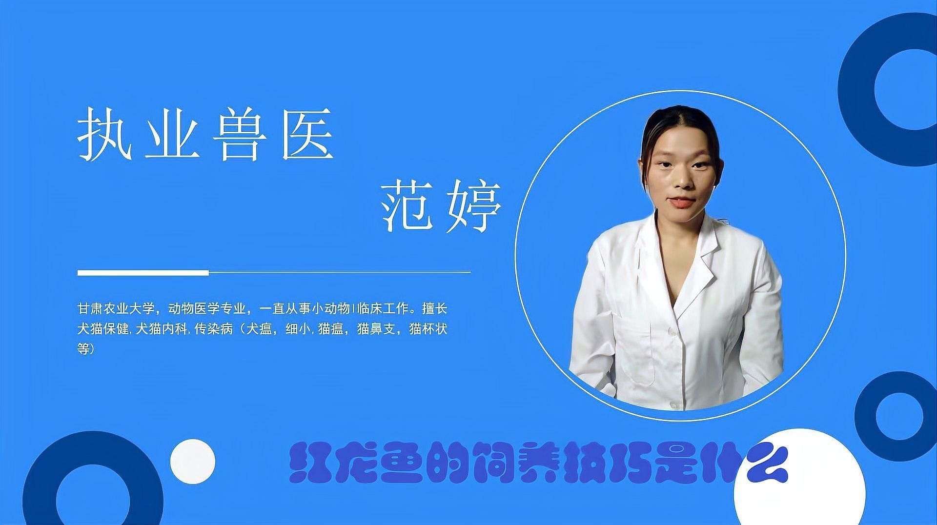 紅龍魚BTL幼魚吃什么食物？