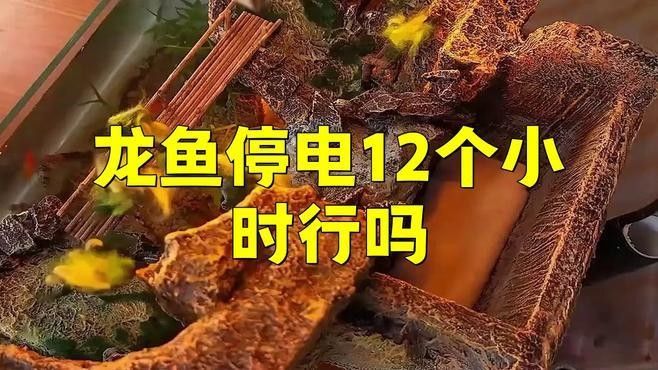 龍魚不加溫能養嗎？（龍魚冬天不加溫能活嗎龍魚不加溫行不行易車網） 龍魚不加溫能養嗎？（龍魚冬天不加溫能活嗎龍魚不加溫行不行易車網） 龍魚百科 第3張