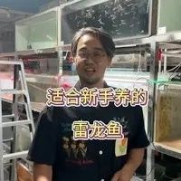 如何挑選健康的幻紅雷龍魚（幻彩紅寶石雷龍的飼養(yǎng)指南與注意事項） 如何挑選健康的幻紅雷龍魚（幻彩紅寶石雷龍的飼養(yǎng)指南與注意事項） 龍魚百科 第10張