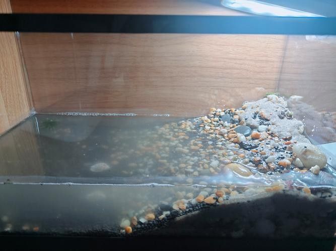 如何選擇適合養(yǎng)龍魚的魚缸(養(yǎng)龍魚的魚缸選擇是確保魚類健康和環(huán)境適宜的關(guān)鍵) 龍魚百科 第13張 如何選擇適合養(yǎng)龍魚的魚缸(養(yǎng)龍魚的魚缸選擇是確保魚類健康和環(huán)境適宜的關(guān)鍵) 如何選擇適合養(yǎng)龍魚的魚缸(養(yǎng)龍魚的魚缸選擇是確保魚類健康和環(huán)境適宜的關(guān)鍵) 龍魚百科 第13張