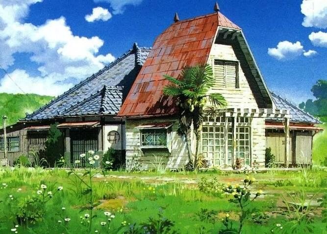 雙養龍貓需要多大的活動空間