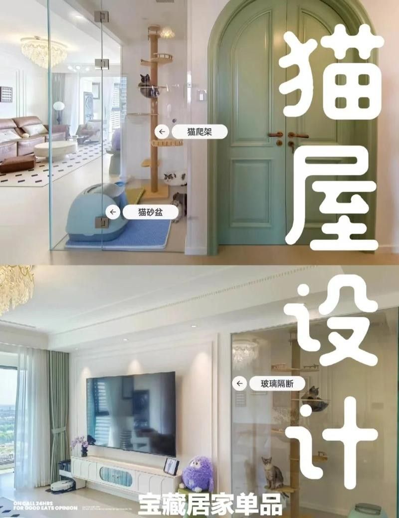 雙養龍貓需要多大的活動空間