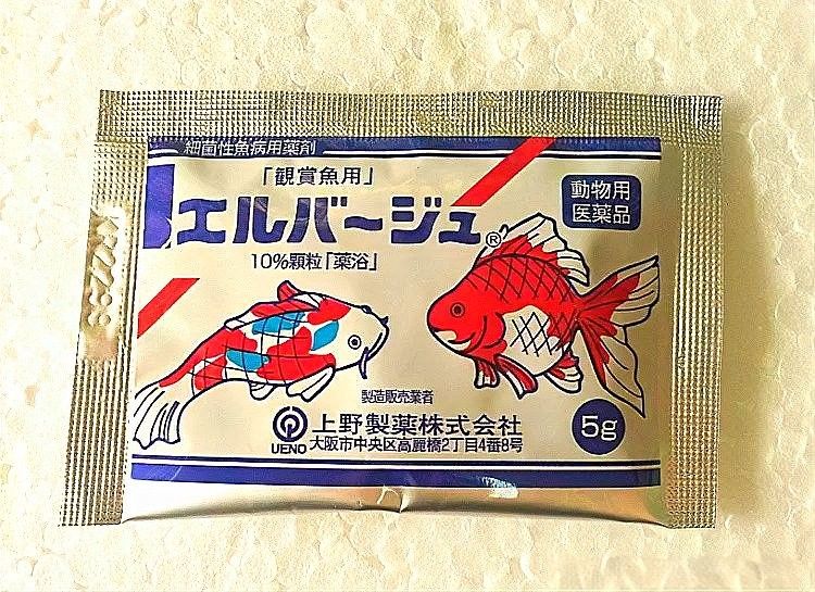 哪種方法對龍魚增色最有效？（如何讓龍魚體色更鮮艷） 哪種方法對龍魚增色最有效？（如何讓龍魚體色更鮮艷） 龍魚百科 第2張