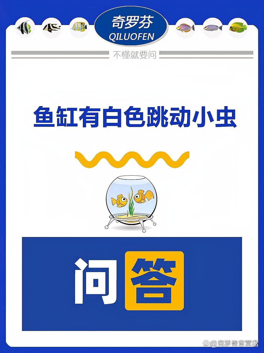 龍魚缸里有白色線蟲會自愈嗎（魚缸出現白色線蟲怎么辦） 龍魚缸里有白色線蟲會自愈嗎（魚缸出現白色線蟲怎么辦） 龍魚百科 第3張