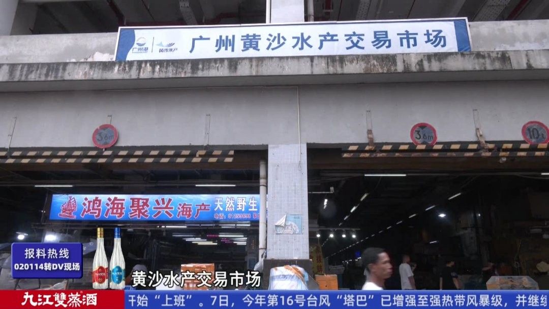 黃沙水產(chǎn)<strong><mark>新市</mark></strong>場(chǎng)有龍魚(yú)嗎？（關(guān)于黃沙水產(chǎn)<strong><mark>新市</mark></strong>場(chǎng)的問(wèn)題）