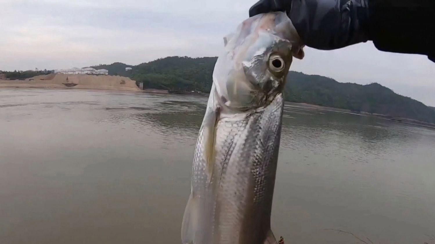 龍魚翹嘴的常見釣點