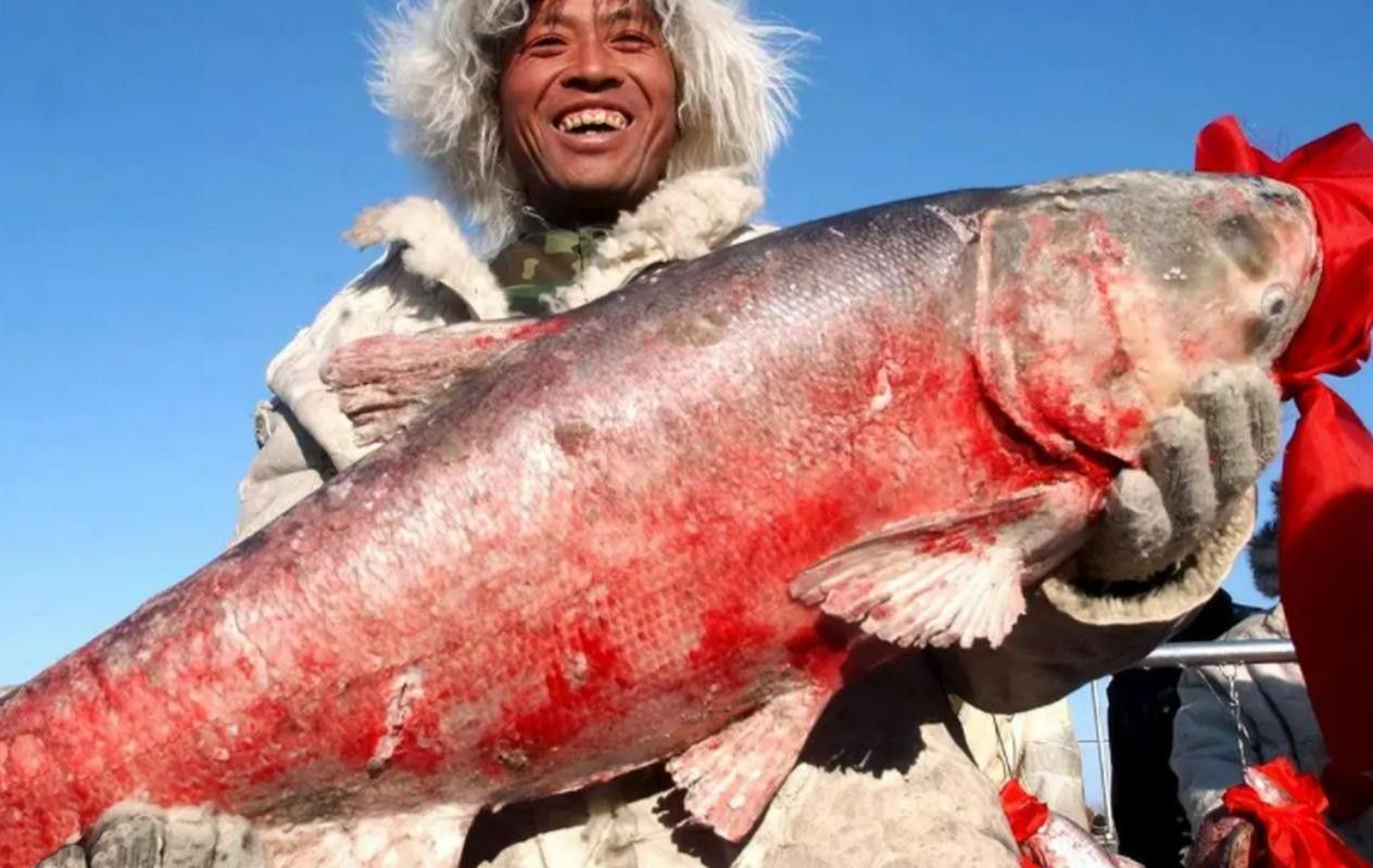 給我一些吉林龍魚的圖片
