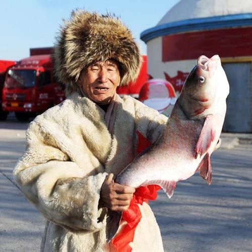給我一些吉林龍魚的圖片