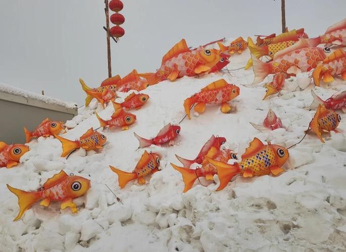 給我一些吉林龍魚的圖片