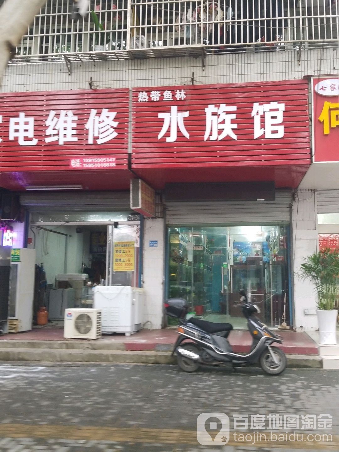 南京哪個水族館龍魚好？祥龍魚場龍魚（南京祥龍魚場是一個值得一游的地方，無論你是龍魚愛好者還是普通游客）
