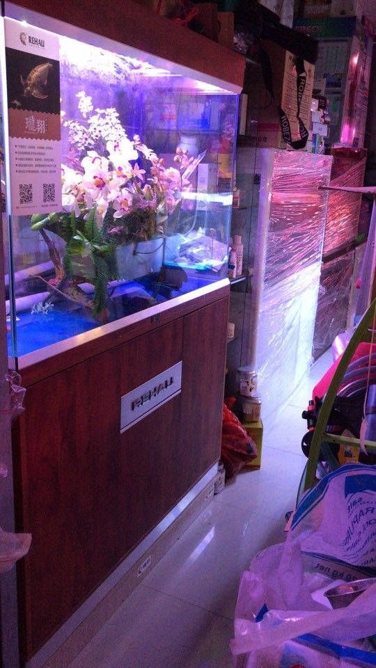 南京哪個水族館龍魚好？祥龍魚場龍魚（南京祥龍魚場是一個值得一游的地方，無論你是龍魚愛好者還是普通游客）