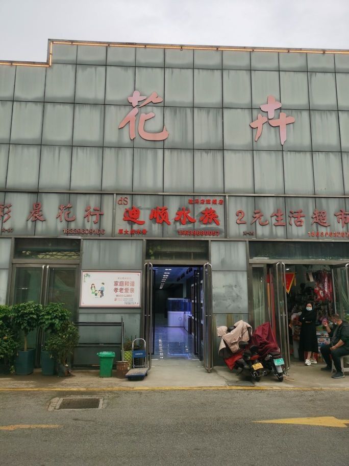 駐馬店哪個水族館龍魚好？祥龍魚場龍魚 駐馬店哪個水族館龍魚好？祥龍魚場龍魚 龍魚百科 第9張