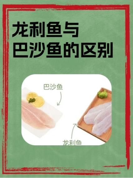 給我一張龍魚和巴沙魚的對比圖片（龍利魚與巴沙魚的區別）