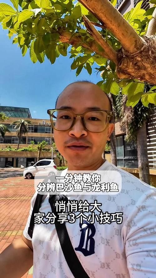給我一張龍魚和巴沙魚的對比圖片（龍利魚與巴沙魚的區別）