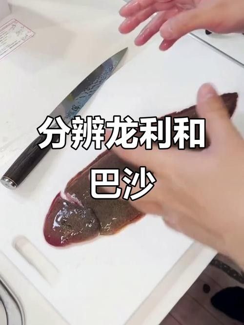 給我一張龍魚和巴沙魚的對比圖片（龍利魚與巴沙魚的區別）