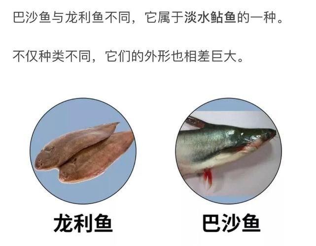 給我一張龍魚和巴沙魚的對比圖片（龍利魚與巴沙魚的區別）