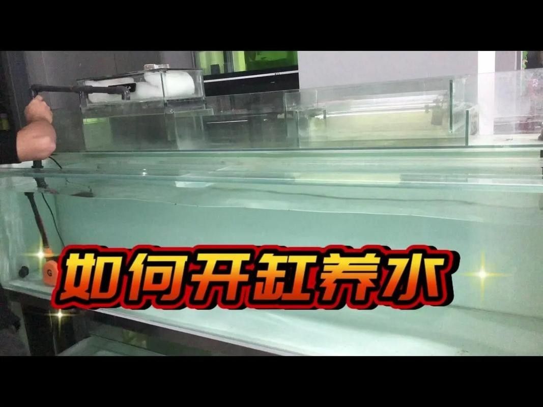 如何選擇適合龍魚的高端魚缸