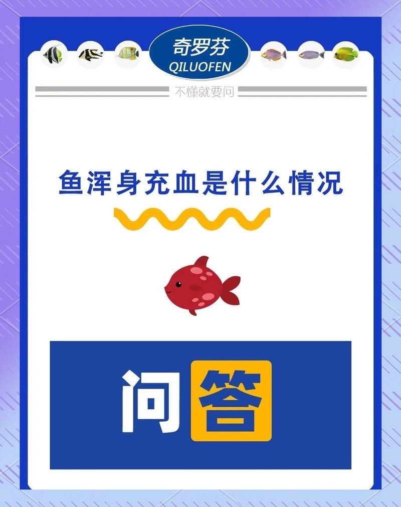 如何預(yù)防龍魚再次充血？