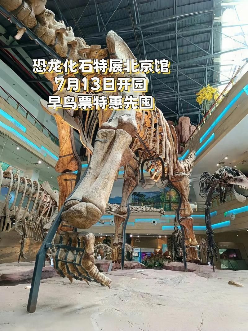 北京有哪些著名的化石市場？（北京旅游攻略）