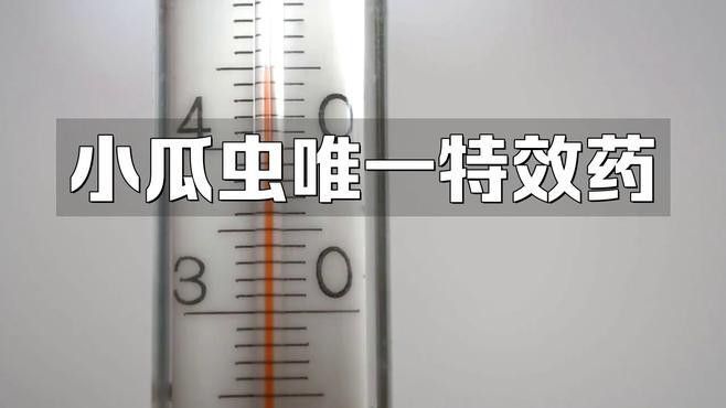 如何預防龍魚小瓜蟲病？（廣西壯族自治區農業農村廳小瓜蟲病預防全攻略） 如何預防龍魚小瓜蟲病？（廣西壯族自治區農業農村廳小瓜蟲病預防全攻略） 龍魚百科 第3張