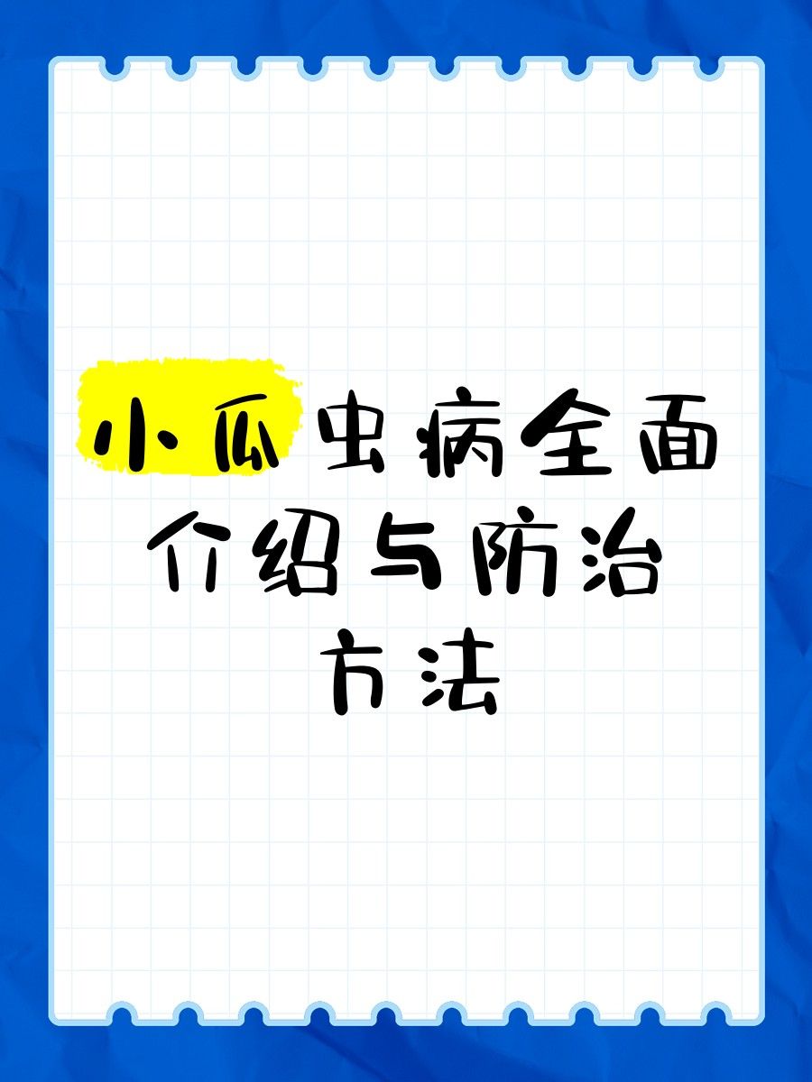 如何預防龍魚小瓜蟲病？（廣西壯族自治區農業農村廳小瓜蟲病預防全攻略） 如何預防龍魚小瓜蟲病？（廣西壯族自治區農業農村廳小瓜蟲病預防全攻略） 龍魚百科 第4張