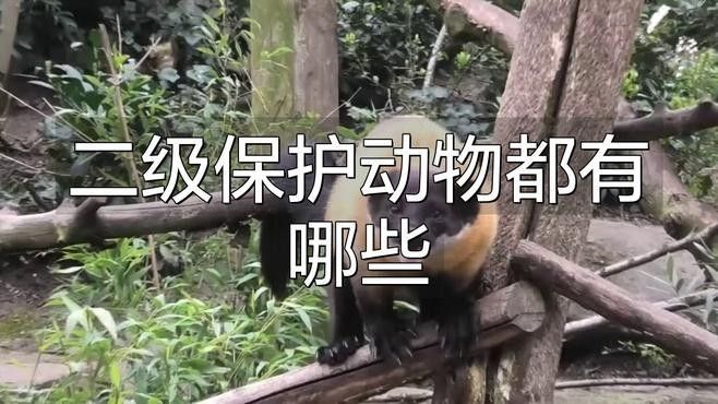 還有哪些動物是國家二級保護動物（2018年國家二級保護動物名錄）