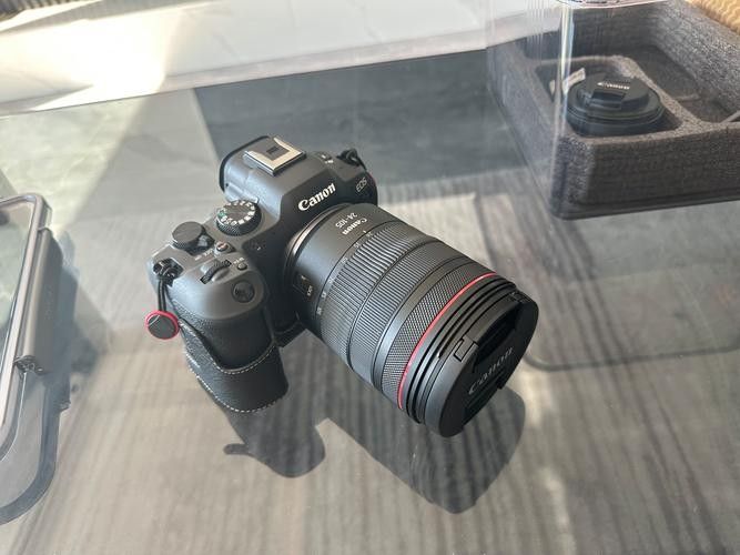 Canon R5鏡頭組合適合哪些預算（canonr5鏡頭組合推薦） Canon R5鏡頭組合適合哪些預算（canonr5鏡頭組合推薦） 龍魚百科 第5張