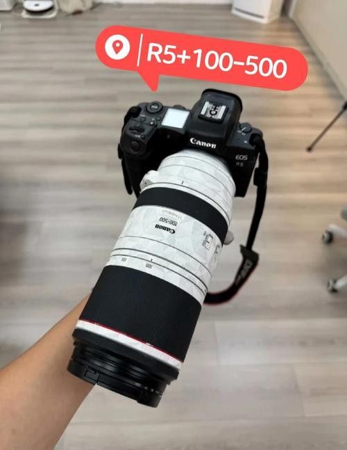 Canon R5鏡頭組合適合哪些預算（canonr5鏡頭組合推薦） Canon R5鏡頭組合適合哪些預算（canonr5鏡頭組合推薦） 龍魚百科 第10張