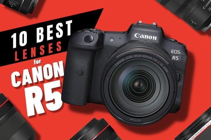 Canon R5鏡頭組合適合哪些預算（canonr5鏡頭組合推薦） Canon R5鏡頭組合適合哪些預算（canonr5鏡頭組合推薦） 龍魚百科 第14張