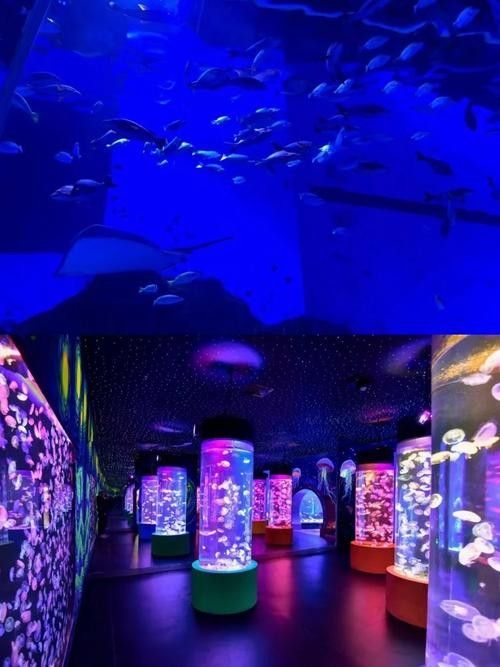 順德哪個水族館龍魚好？祥龍魚場龍魚（廣州祥龍魚場，全球首家龍魚繁殖漁）
