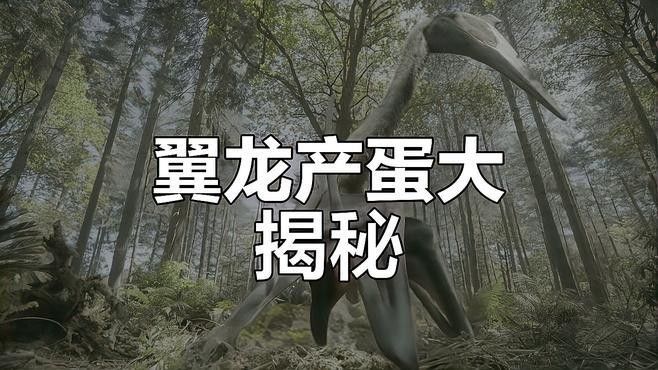 臨沂魚缸批發市場，臨沂市魚缸批發市場