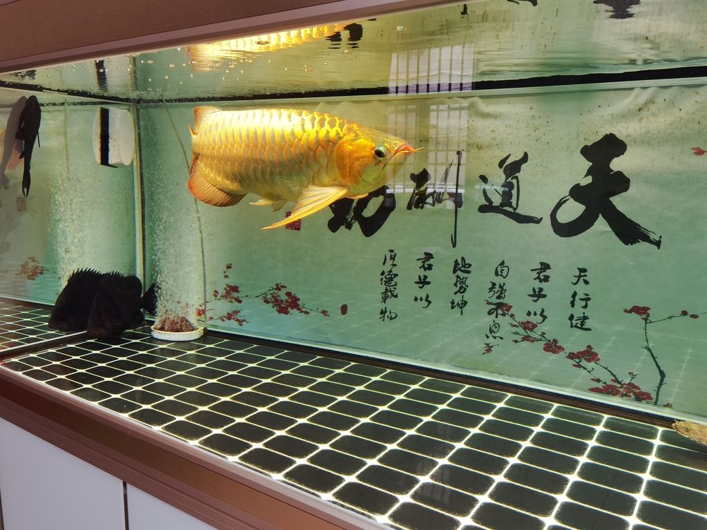 （ai在教育中的應用及其影響，）
