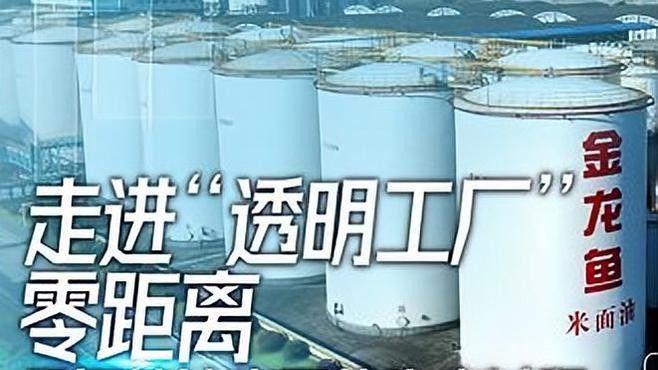 金龍魚透明化生產包括哪些環節？