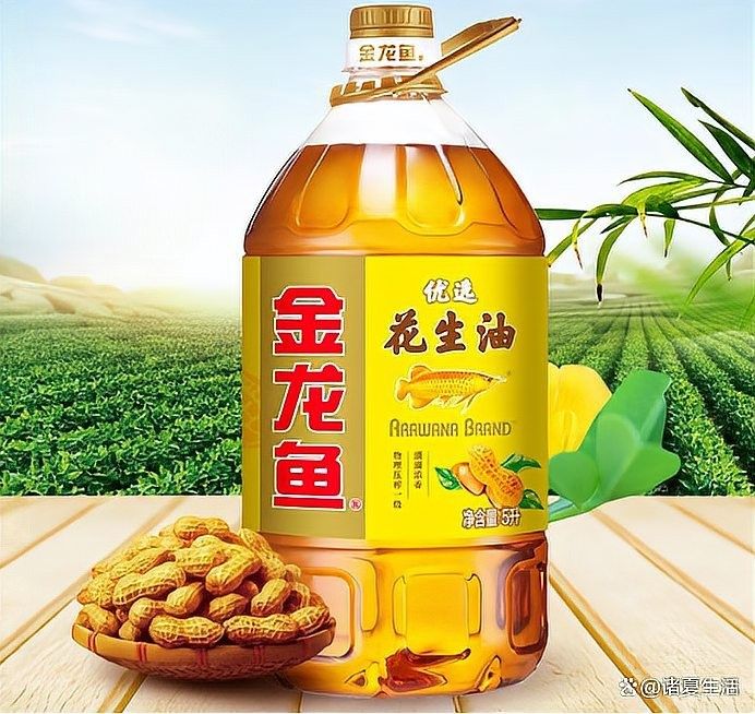 金龍魚透明化生產包括哪些環節？