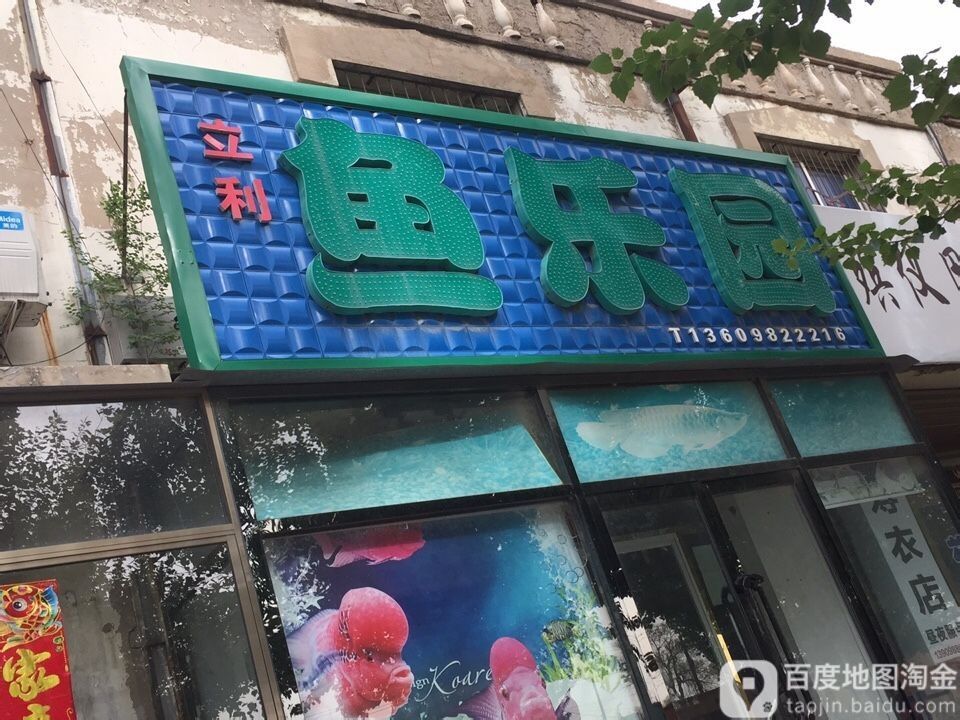 法庫哪個水族館龍魚好？祥龍魚場龍魚（廣州龍魚祥龍魚場）
