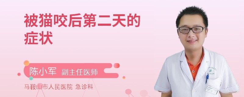 龍貓咬傷后多久會發病（貓咬傷后發病時間取決于多種因素，龍貓咬傷后發病時間取決于多久） 龍貓咬傷后多久會發病（貓咬傷后發病時間取決于多種因素，龍貓咬傷后發病時間取決于多久） 龍魚百科 第2張