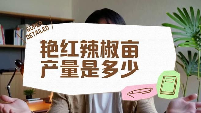 紫艷辣椒紅龍成年后有多大？（紫艷辣椒紅龍成年后的大小）