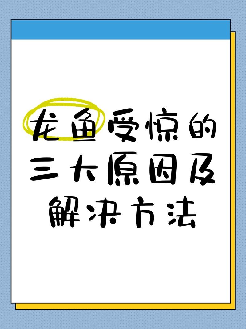 龍魚低溫應激反應如何處理